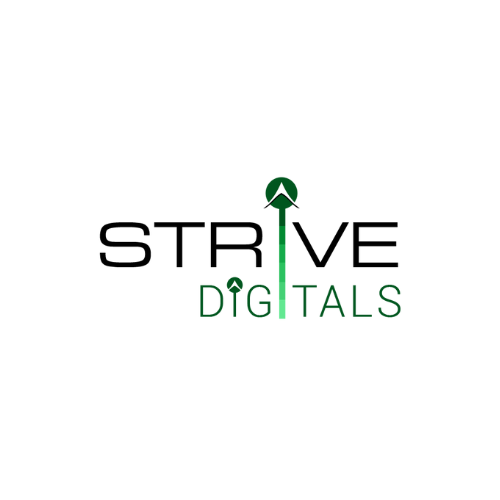 Strive Digitals — IT Services in Ahmedabad